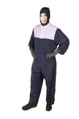 Eckert Lackieroverall Economy XL